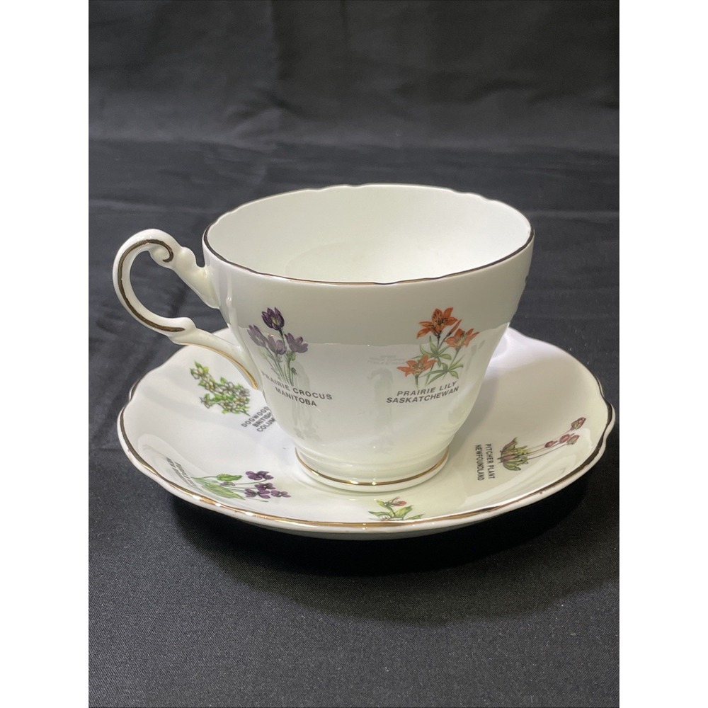 Royal Darnwood Bone China Teacup Set Prairie Crocus Manitoba Lily Canada